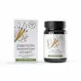 Snyltekølle svampe ekstrakt (cordyceps)